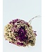 Pink green preserved Hydrangea Cabeza | Length 50 centimetres | Available to order individually