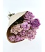 Natural pink mix Peonies | Length 65 centimetres | Available to order per 10 peonies