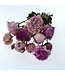 Natural pink mix Peonies | Length 65 centimetres | Available to order per 10 peonies