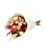 Bouquet of dried flowers Moulin Rouge | Length ±50 centimetres | Available per dried bouquet