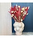 Bouquet of dried flowers Moulin Rouge | Length ±50 centimetres | Available per dried bouquet
