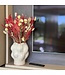 Bouquet of dried flowers Moulin Rouge | Length ±50 centimetres | Available per dried bouquet