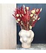 Bouquet of dried flowers Moulin Rouge | Length ±50 centimetres | Available per dried bouquet