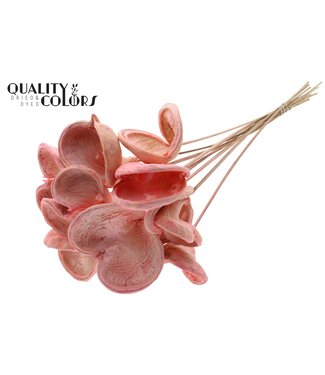 QC Badam Fleur d'amandier sur tige | Rose clair | Longueur ± 50 centimètres | 10 tiges par bouquet | Par bouquet