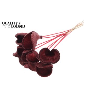 QC Badam Mandelblüte auf Stiel | Rot | Länge ± 50 Zentimeter | 10 Stiele pro Bund | Pro Bund