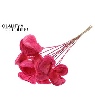 QC Badam Fleur d'amandier sur tige | Cerise Intense | Longueur ± 50 centimètres | 10 tiges par bouquet | Par bouquet