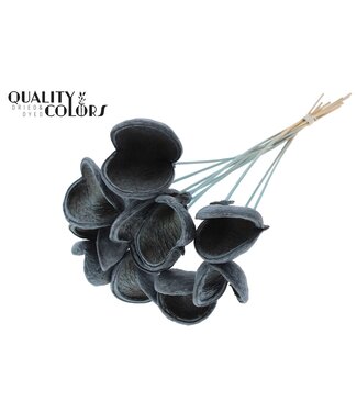 QC Badam Fleur d'amandier sur tige | Givré Bleu clair | Longueur ± 50 centimètres | 10 tiges par bouquet | Par bouquet