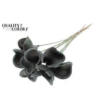 QC Badam Fleur d'Amandier sur tige | Menthe Givrée Verte | Longueur ± 50 centimètres | 10 tiges par bouquet | Par bouquet