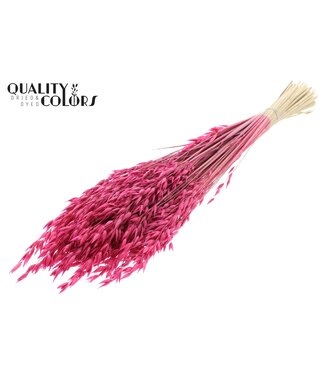 QC Avena Premium avoine séchée | Cerise | Longueur ± 65 centimètres | ± 190 grammes | Par bouquet