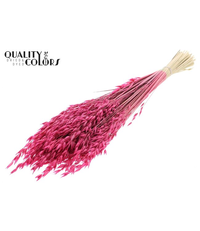 Avena Premium avoine séchée | Cerise | Longueur ± 65 centimètres | ± 190 grammes | À commander par bouquet