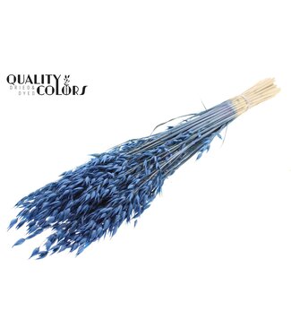 QC Avena Premium avoine séchée | Bleu | Longueur ± 65 centimètres | ± 190 grammes | Par bouquet