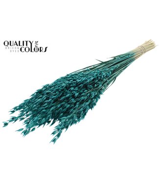 QC Avena Premium avoine séchée | Turquoise | Longueur ± 65 centimètres | ± 190 grammes | Par bouquet