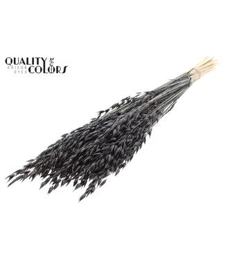 QC Avena Premium avoine séchée | Noir | Longueur ± 65 centimètres | ± 190 grammes | Par bouquet