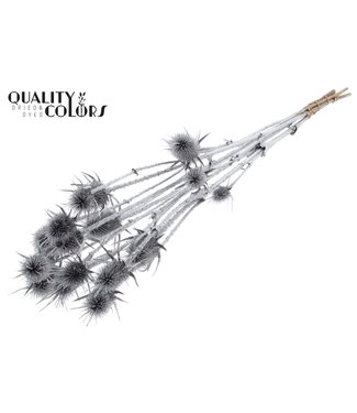 QC Cardi Distel fleurs séchées | Argent avec paillettes | Longueur ± 70 centimètres | 5 branches par bouquet | Par bouquet