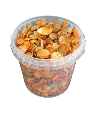 QC Nordseemuscheln in wiederverwendbaren Eimern | Orange | 1 Liter pro Eimer | Pro 6 Stück