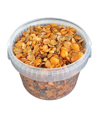 QC Nordseemuscheln in wiederverwendbarem Eimer | Orange | 3 Liter pro Eimer | Pro Stück