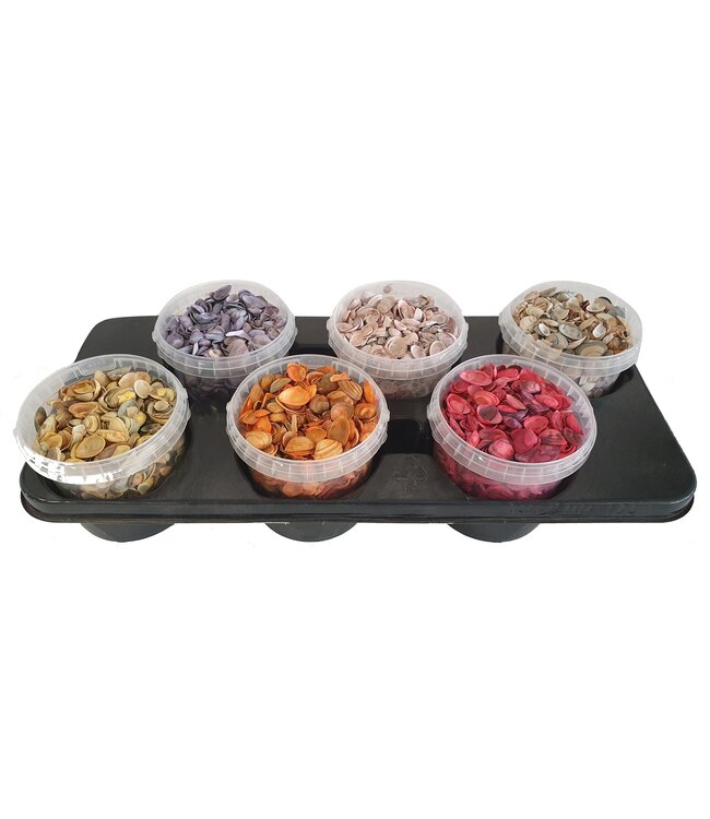 Coquillages de la mer du Nord dans des seaux réutilisables | Couleurs mélangées | 1 litre par seau | Commande par 6 pièces