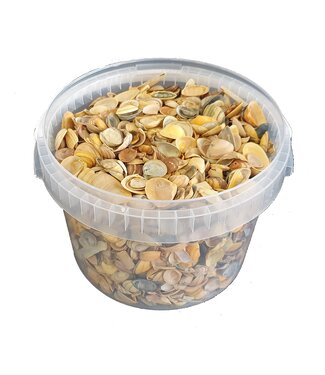 QC Coquillages de la mer du Nord dans un seau réutilisable | Jaune | 3 litres par seau | Par pièce