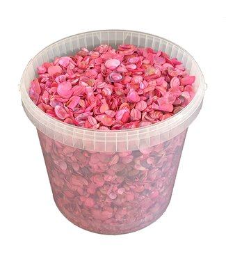 QC Coquillages de la mer du Nord dans un seau réutilisable | Cerise | 10 litres par seau | Par pièce