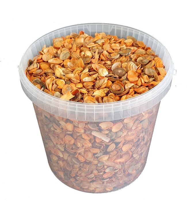 Nordsee-Muscheln in wiederverwendbarem Eimer | Orange | 10 Liter pro Eimer | Stückweise bestellbar