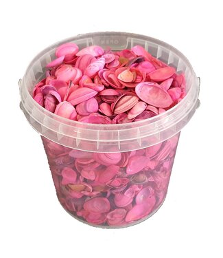 QC Nordseemuscheln in wiederverwendbaren Eimern | Cerise | 1 Liter pro Eimer | Pro 6 Stück