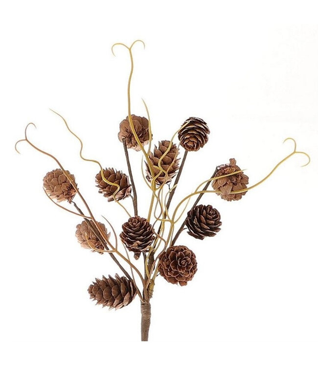 Pomme de pin branche Picea cône de pin | Longueur 25 centimètres | Par pièce