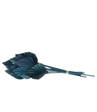 4A Palmier Séché Bleu en Forme de Lance | Feuilles de Palmier en Forme de Lance | Longueur 50 centimètres | 10 tiges Par bouquet | Par bouquet