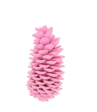 4A Pommes de pin roses Sugar pine cirées | Longueur 35 centimètres | Par pièce