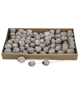 4A Naturelle Matte Braune Allerheiligen Bellgums Trocken-Deko-Stecker | Pro 100 Stück