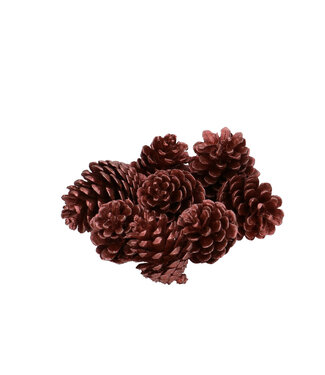 4A Pommes de pin rouges Pinea | Longueur 7 centimètres | Par 8 pièces