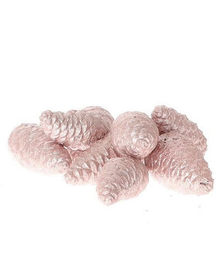 4A Pommes de pin Pinea rose clair cirées | Longueur 7 centimètres | Par 8 pièces