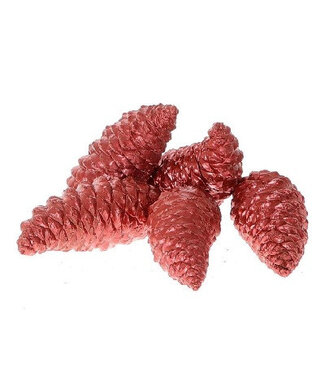 4A Pommes de pin rouges Maritima cirées | Longueur 12 centimètres | Par 5 pièces