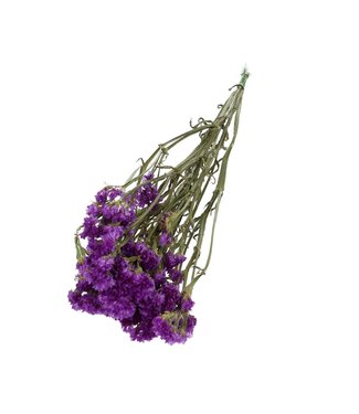 4A Limonium Statice séché violet | Fleurs séchées Limonium Statice | Longueur 70 centimètres | Par bouquet