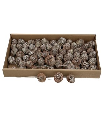 4A Naturelle Matte Braune Allerheiligen Muirii Trocken-Deko-Stecker | Pro 60 Stück