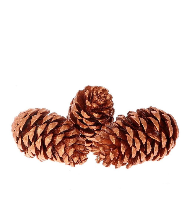 Copper-coloured pine cones Maritima | Length 12 centimetres | Available to order per 3 pieces