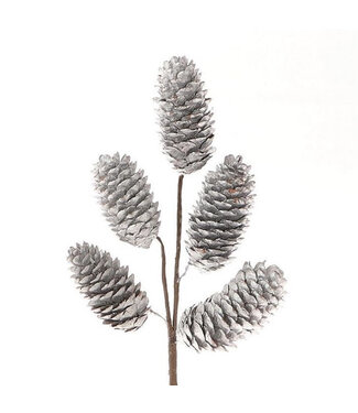 4A Pommes de pin argentées Picea sur branche | Longueur 25 centimètres | Par pièce