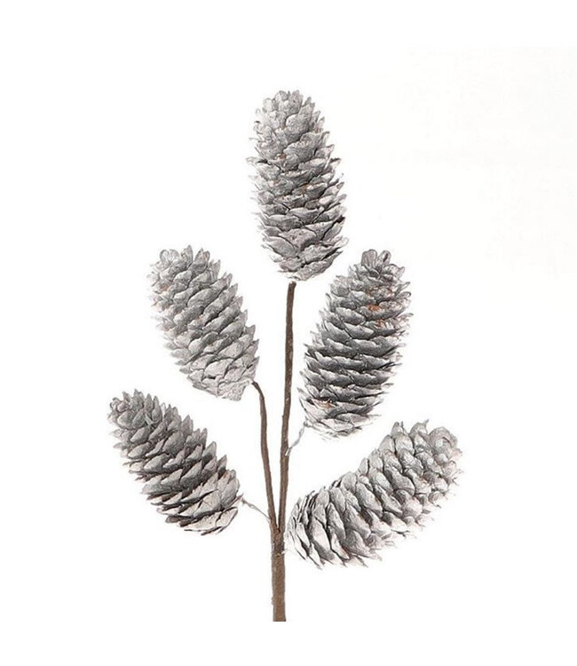 Branche de pommes de pin argentées Picea | Longueur 25 centimètres | Par pièce