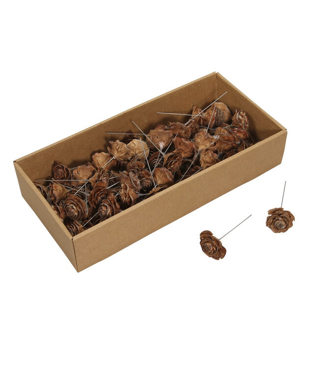 Naturelle Braune Zedernrose | Stecker für Trockenblumen Rosen | Durchmesser 10 Zentimeter | Pro 70 Stück bestellbar