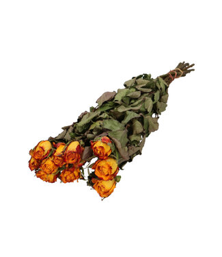 4A Yellow Orange Dried Roses | Rose Dried Flowers | 10 Roses Per Bunch | Length 50 Centimetres | Per Bunch