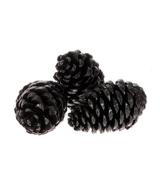 4A Pommes de pin noires Maritima | Longueur 12 centimètres | Par 3 pièces