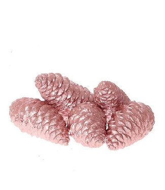 4A Pommes de pin roses Maritima cirées | Longueur 12 centimètres | Par 5 pièces