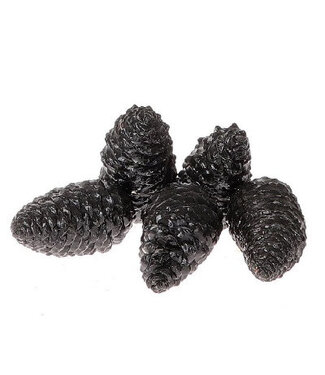 4A Pommes de pin noires Maritima cirées | Longueur 12 centimètres | Par 5 pièces