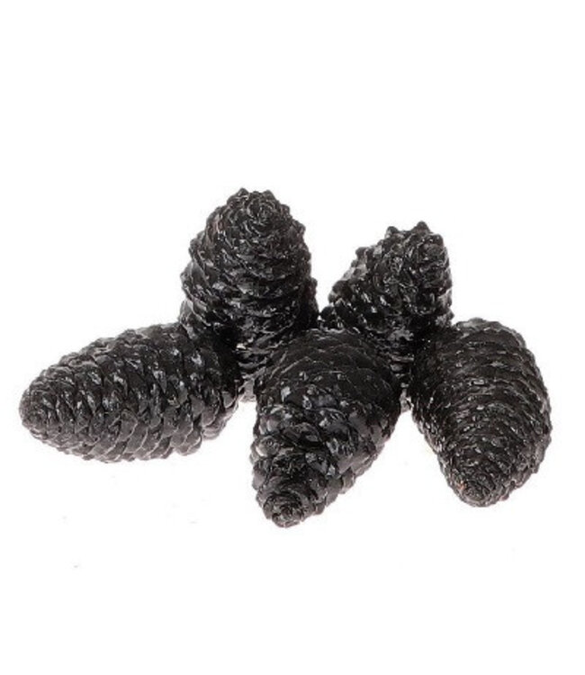 Pommes de pin noires Maritima | Longueur 12 centimètres | Commande par 5 pièces