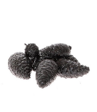 4A Pommes de pin noires Pinea cirées | Longueur 7 centimètres | Par 8 pièces