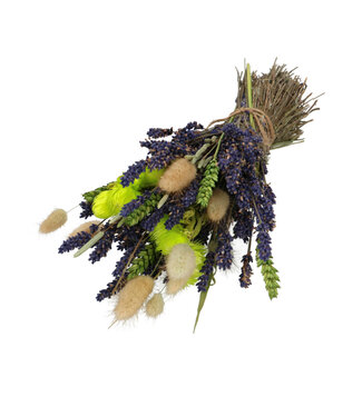 4A Bouquet vert de fleurs séchées Lavande | Longueur 33 centimètres | Par bouquet