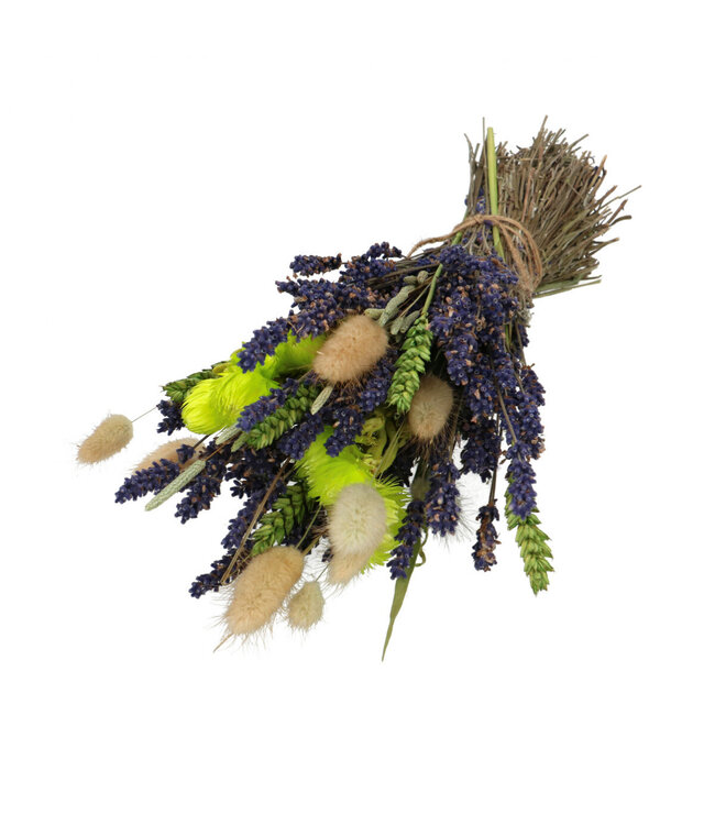 Bouquet vert de fleurs séchées Lavande | Longueur 33 centimètres | À commander par bouquet