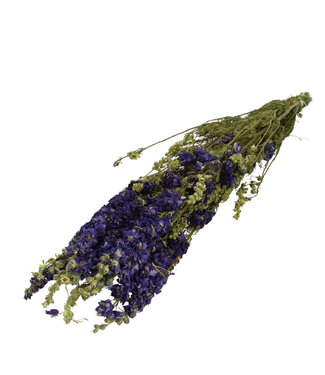 4A Delphinium séché bleu | Fleurs séchées Delphinium | 10 tiges par bouquet | Longueur 65-70 centimètres | Par bouquet