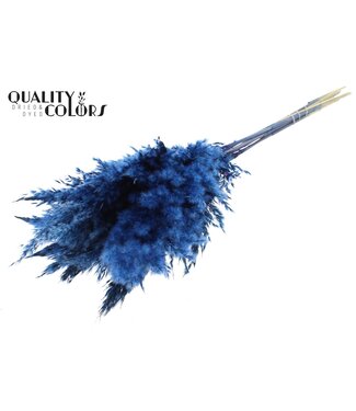 QC Plumes de Pampas Séchées | Bleu Foncé | Longueur ± 70 centimètres | 10 plumes par bouquet | Par bouquet