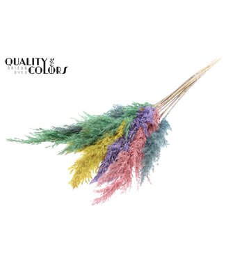 QC Plumes de Pampas Séchées | Mélange de Couleurs Pastel Prism | Longueur ± 70 centimètres | 10 plumes par bouquet | Par bouquet