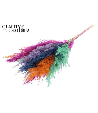 QC Plumes de Pampas Séchées | Mélange de Couleurs Neon Dusk | Longueur ± 70 centimètres | 10 plumes par bouquet | Par bouquet